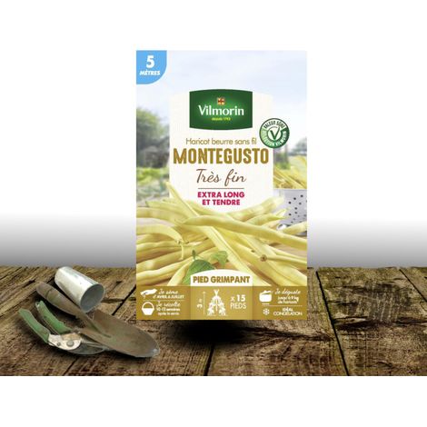 Graines de Haricot Grimpant Beurre Monte Gusto - Vilmorin/Boite - 5 mètres
