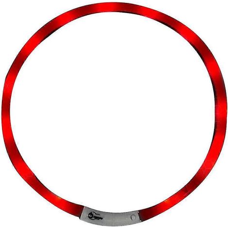 Wiederaufladbares LED-Halsband über USB für kleine, mittlere und große Hunde, verstellbare Länge bis 70 cm.