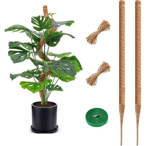 Tuteur Monstera 75 cm Lot de 2, Tuteur Plante en Fibre de Coco Naturelle, Support Solide pour Plantes Grimpantes d’Intérieur, Tuteur Coco Flexible pour Monstera, Pothos et Philodendron (1/5)
