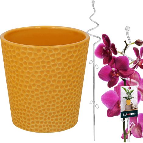 Set di vasi color senape da 11 cm con supporto a spirale trasparente da 58 cm per fiori, supporto per piante, set per orchidee