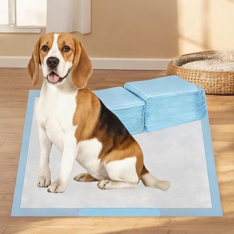 Tapis d'hygiène pour chien 60 x 60 cm paquet de 80 unités azul (1/5)