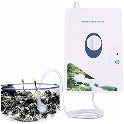 Générateur d'ozone pour l'eau et la purification et l'air d'ozone Machine à oxygène Purificateurs d'eau.O3 stérilisateur de désinfection d'ozone avec minuterie numérique (1/4)