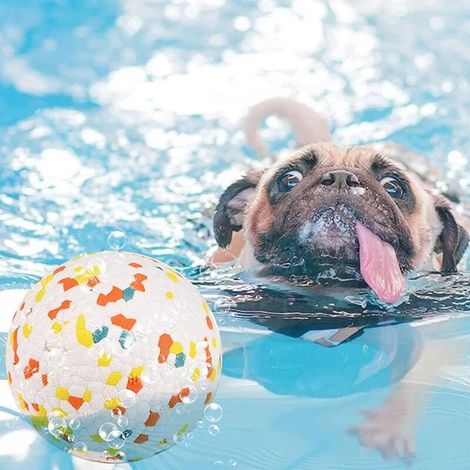 Unzerstörbarer Hundeball – rutschfestes und intelligentes sensorisches Haustierspielzeug