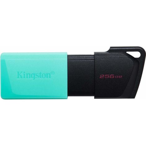 256GB USB3.2 DTEXODIA M BK + TL (1/4)