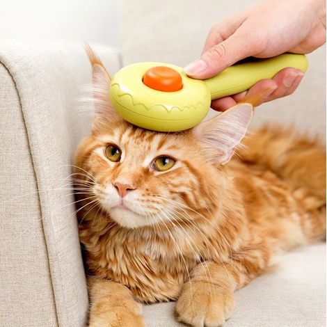 Brosse de massage pour le soin du pelage des chats et des chiens, auto-nettoyante-AquaForge (1/5)