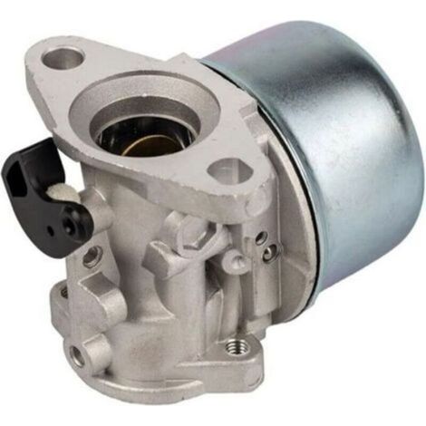 Carburateur 799868 avec joint et joint torique de pour carburateur Briggs & Stratton 498170 498254 497347 497314 (1/4)