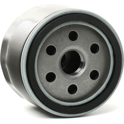 La fertre ou huere de remplacement 696854 convient à Briggs & Stratton 79589, 92134GS. (1/4)