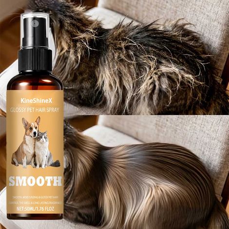 KineShineX Pet Hair Smoothing Spray, nicht fettend, sorgt für glänzendes, geschmeidiges Fell. (1/4)
