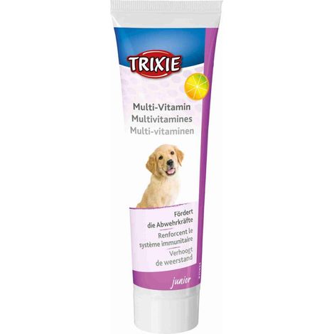 Multivitamin for puppies, paste, D/FR/NL, 100 g