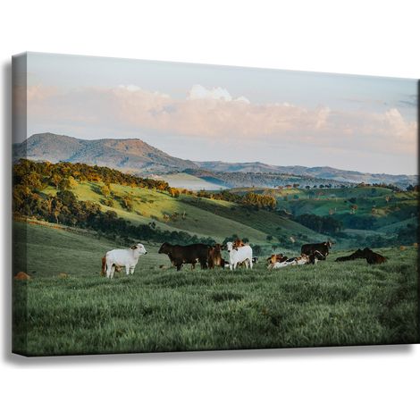 Leinwanddruck Natur, Weide und Kühe 60x40 cm