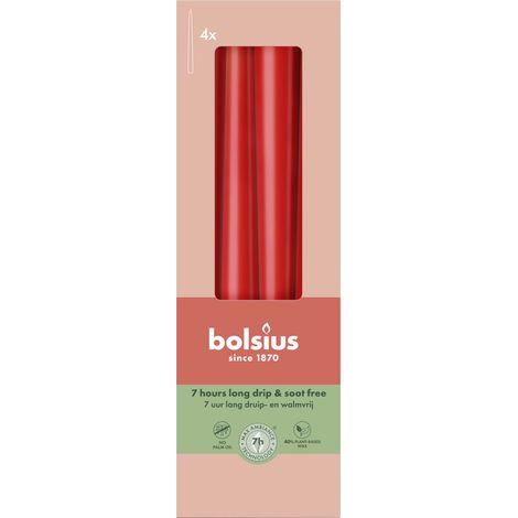 Bolsius Spitzkerzen zartrot 24,5 cm Ø 2,4 cm 4 Stück Spitzkerze