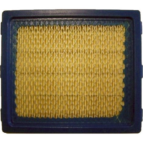 Filtro Air BRIGGS et STRATTON 805113