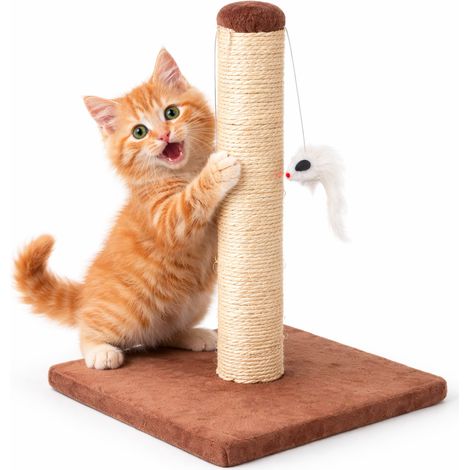 Nobleza Tiragraffi Gatti Albero Rampicante 35cm Sisal Marrone (1/5)