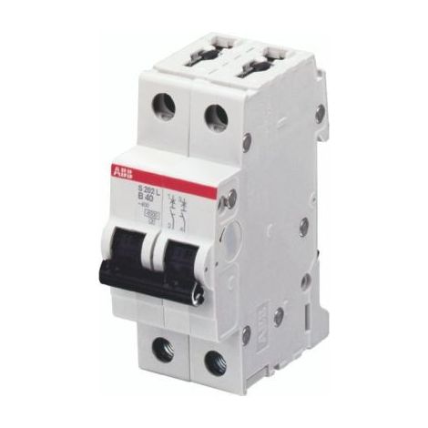 Disjoncteur S202L 2P 6A Courbe C Raccordement à vis - 6KA (2Modules) 2CDS242701R0064 ABB 350233