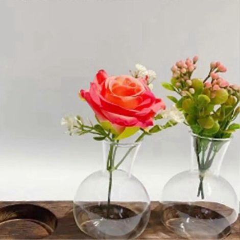 Pot de fleurs transparent en verre, station de propagation vintage -- (1/5)
