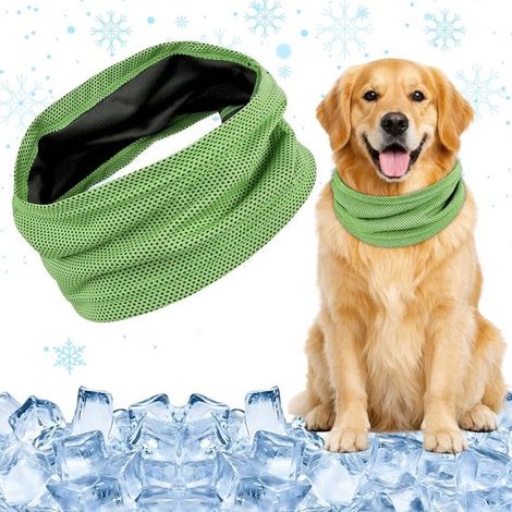 Collier rafraîchissant pour chien – Vert – L : 55x16 cm – Respirant – Évite la chaleur – Accessoire canin (1/5)