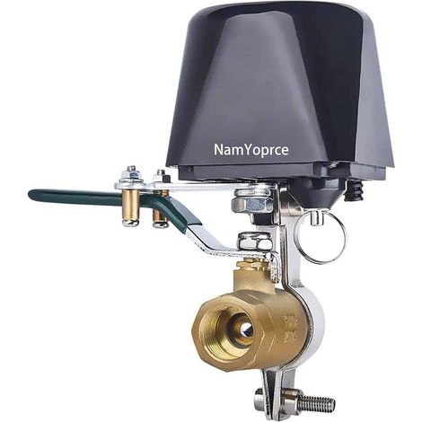 Valve d'eau/gaz, télécommande (1/5)