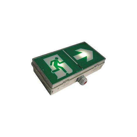 Bloc Autonome SATI ULTRALED JOUR II ES IP66 – LUM16152