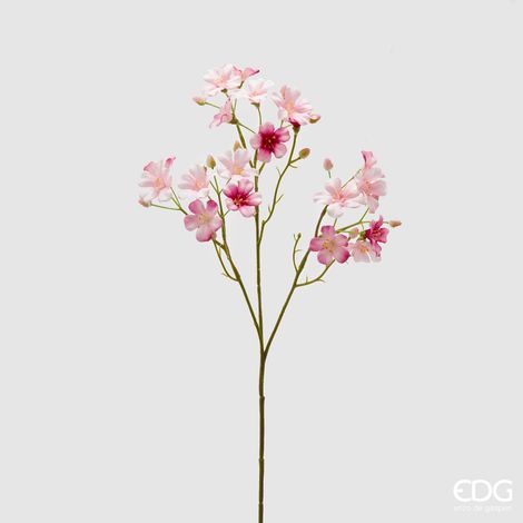 EDG Oxalis Ramo X3 H55 Rosa