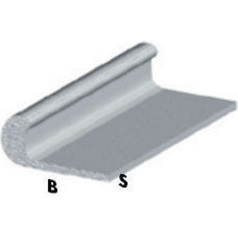 Profilo Argento H.100 Unghietta 25X1 5 Pz