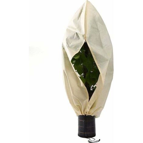 Housses pour plantes Housse hivernage pour Plantes, Housse hivernage pour Plantes, Housse d'hivernage Non tissée 140 g/m² Protection Contre Le Gel des Plantes en Palmier et Olivier (250x360cm),de DEB (1/4)
