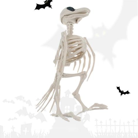 FainFun Squelette Oiseau, Os Squelette Décoration en Plastique , Squelette Animaux Effrayant pour Halloween, (1/4)