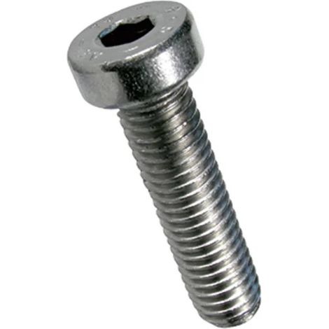 100 Vis à Métaux Tête Cylindrique Réduite Six Pans Creux 8 x 12 mm - DIN 7984 - UNI 9327 - Inox A2 - D-Work