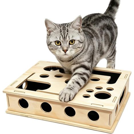 Boîte à Griffer Interactive pour Chats, 30 26cm Boîte Puzzle à Gratter pour Chat, Boîte de Lime à Ongles, Jouet pour Chat Puzzle, pour l'intérieur pour Chat, Chaton de Petite (1/5)