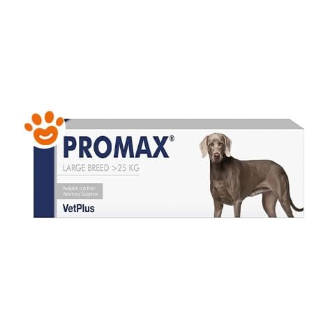 VetPlus Dog Promax Large Breed - VetPlus Dog Promax Large Breed - Confezione Da 30 ml