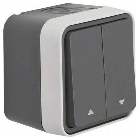 Berker Serie 30753525 Interruptor unipolar gris claro