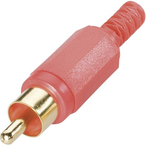 Cinch/RCA mâle, droit BKL Electronic 0104008/T Nombre de pôles: 2 blanc 1 pc(s)