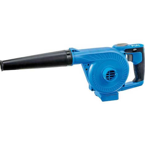 FERVI Soffiatore a Batteria 2 in 1 con Velocità Variabile e Sacco (1/3)