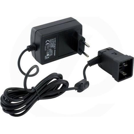 Chargeur GT815AC Li-Ion