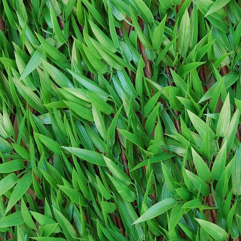SIEPE SINTETICA DIVY 3D X-TENS BAMBOO 1X2 M (1/8)