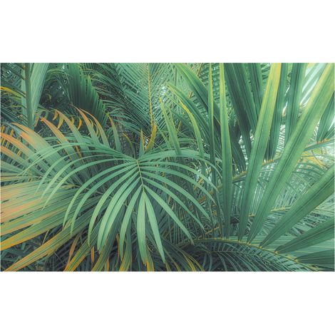 Komar Wandtapete - Foggy Fern - 250 x 400 cm - Vlies Digitaldruck - Mediterran Naturmotiv