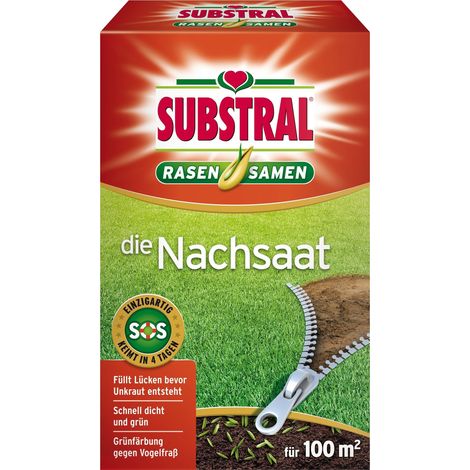 Semillas substral die nachsaat reparación césped germinación rápida 2 kg
