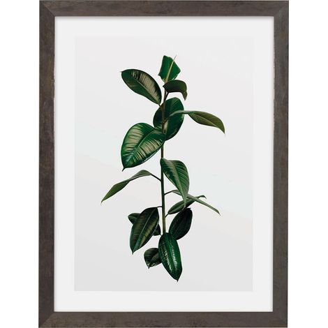 Cadre photo en bois gris pierre avec art Poster Elastica Leaf en kit Dimensions : 30 x 40 cm Tableau mural, décoration, plante (1/2)