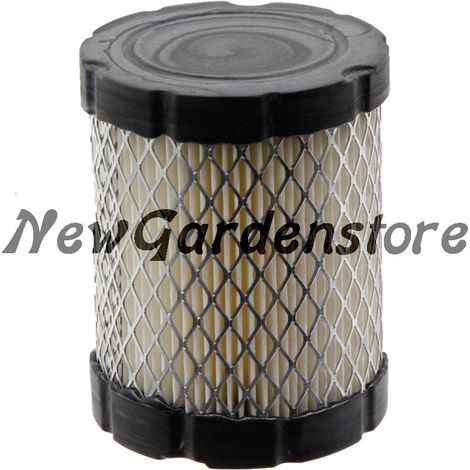 Cartucho filtro de aire tractor de césped compatible BRIGGS & STRATTON 796032