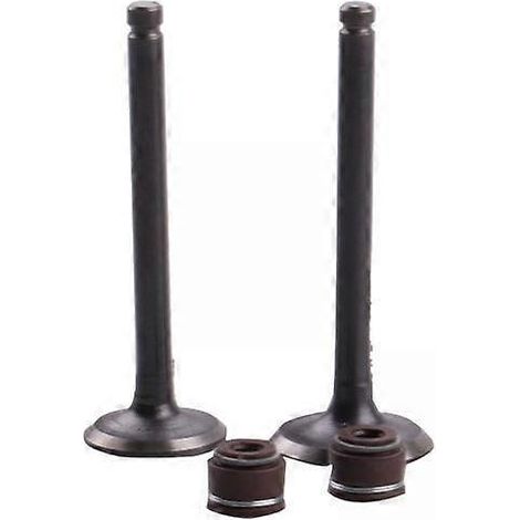 Lot de 2 à 6 soupapes d'admission et d'échappement de 23 mm pour motos de 50 à 110 cm3 (pièces de rechange) 2 pièces (1/5)
