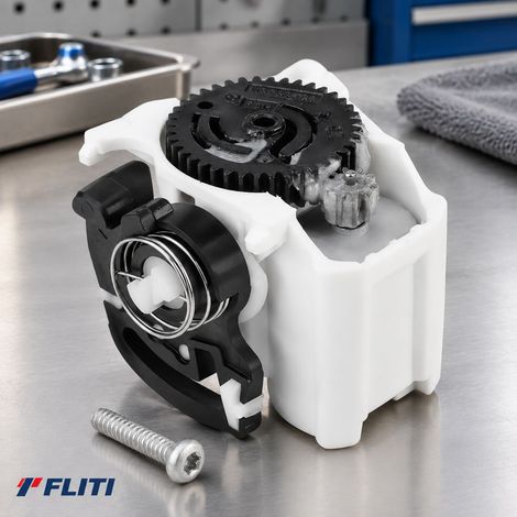 FLITI Zentralverriegelung für die Heckklappe für Clio 2, Twingo, Mégane, Scenic, OE 7700435694, Kunststoff/Metall (1/5)