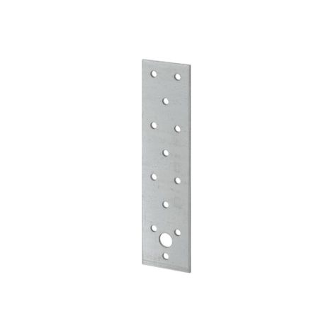 Vormann Lochplatten 60X200 mm sendz.verz.