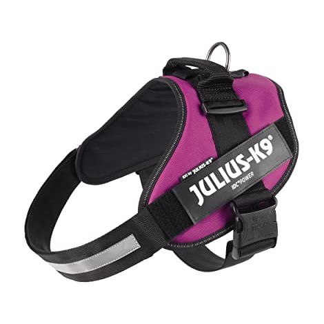 Pettorina IDC Julius K9 Powerharness (ITA) - Pettorina IDC Julius K9 Powerharness (ITA) - Fucsia, XXL / Taglia 3 (82-115cm)