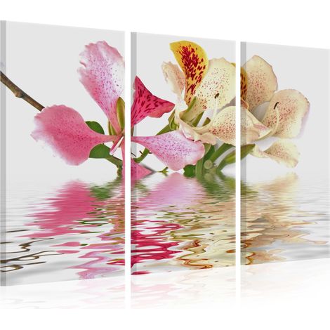 Quadro - Orchidea a pois-pallini - 60x40 (1/4)