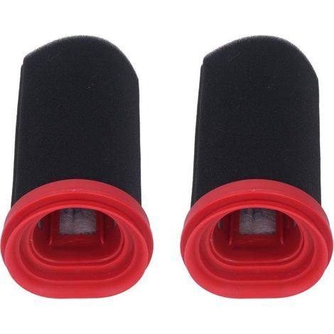 Lot de 2 filtres 25,2 V/21,6 V pour aspirateur sans fil Bosch Flexxo Série 4-AquaForge (1/4)