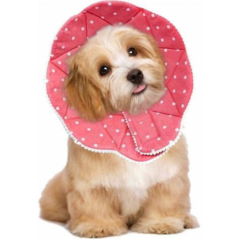 Collier postopératoire confortable pour chats et chiens, solide, imperméable, anti-rayures, anti-morsures, facile à nettoyer, avec attache réglable (rose) (1/5)