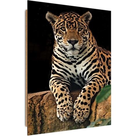 Quadro deco panel, Leopardo a riposo - 60x90 (1/5)