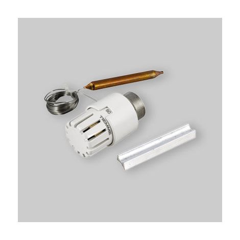 Testa Termostatica Con Sonda A Distanza Per Valvola Deviatrice/Miscelatrice 20-50 °C