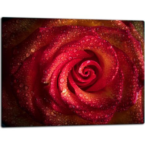 Planche à découper en verre rose 52x40 (1/5)