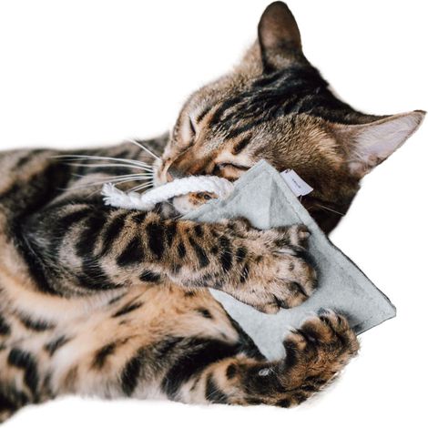 Almohada para gatos Gato canadiense FELTY gris claro hierba gatera 5 g (1/5)