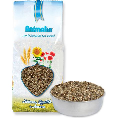 Seme di canapa 800gr Also